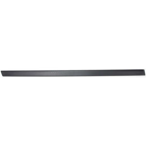 Rear Passenger Side Door Molding image