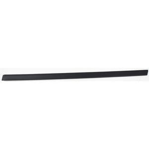Rear Driver Side Door Molding image