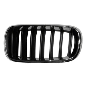 Driver Side Grille image