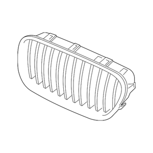 Driver Side Grille image