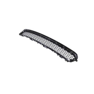 Front Bumper Grille image
