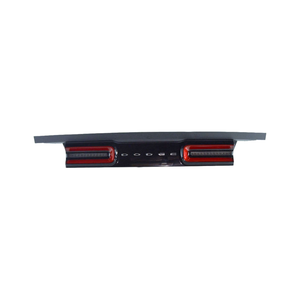Center Tail Light Assembly image