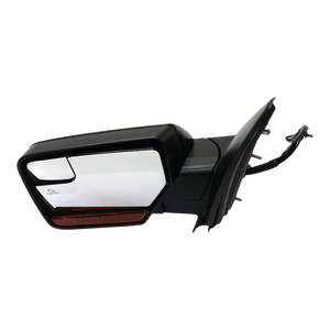 Driver Side Door Mirror image