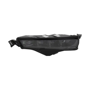 Passenger Side Fog Light Assembly image