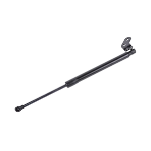 Driver Side Tailgate Lift Support image