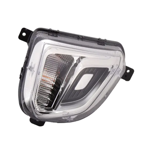 Passenger Side Parking Light Assembly image