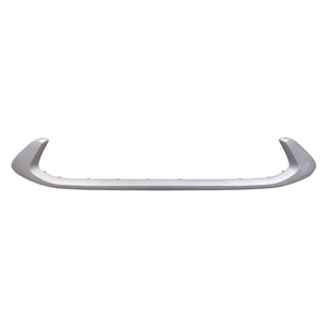Front Bumper Molding image