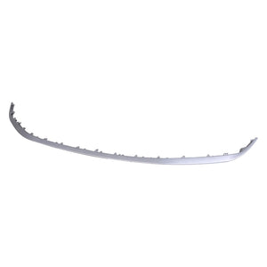 Front Bumper Molding image