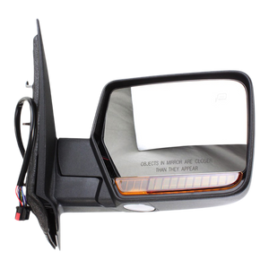 Passenger Side Door Mirror image