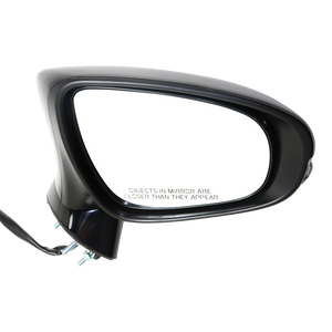 Passenger Side Door Mirror image