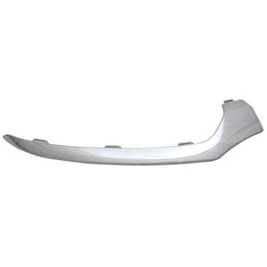 Bumper Molding image