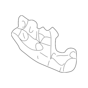Hood Latch image