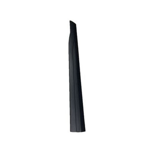 Front Passenger Side Lower Door Molding image