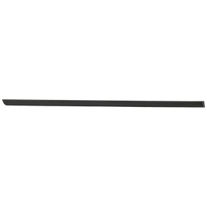 Rear Passenger Side Door Molding image