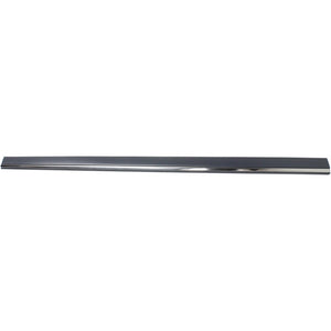 Front Passenger Side Door Molding image