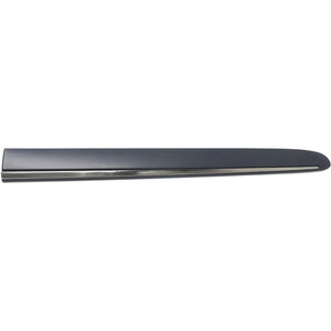 Rear Passenger Side Door Molding image