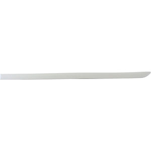 Rear Passenger Side Door Molding image