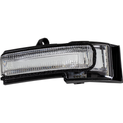 Passenger Side Door Mirror Turn Signal Light image