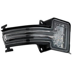 Passenger Side Door Mirror Turn Signal Light image