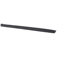 Front Passenger Side Door Molding image