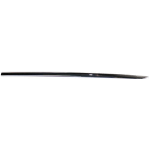 Rear Passenger Side Door Molding image