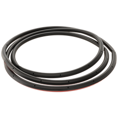 Rear Driver Side Door Molding image