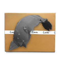 Driver Side Fender Liner image