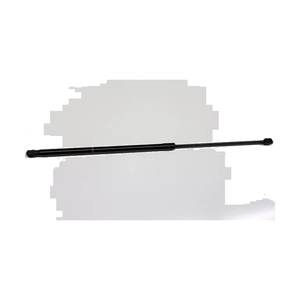 Hood Lift Support Assembly image