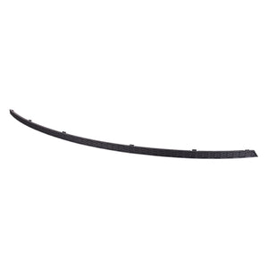 Rear Bumper Molding image