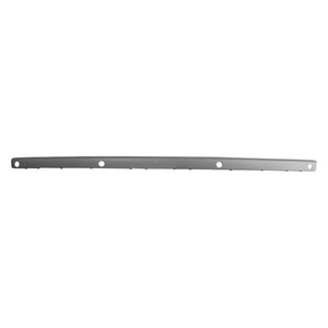 Rear Bumper Molding image