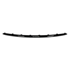 Rear Bumper Molding image