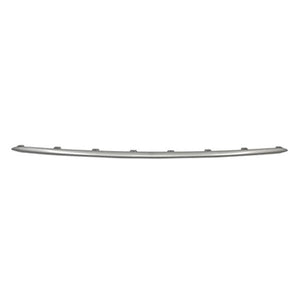 Rear Bumper Molding image