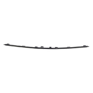 Front Bumper Molding image