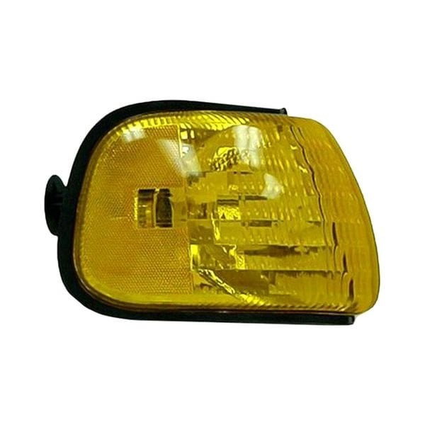 1998-2002 Dodge B1500/B2500/B3500/Ram 1500 Van/Ram 2500 Van/Ram 3500 Van Passenger Side Parking Light Assembly Park/Signal Combination - CH2521132-Partify-Painted-Replacement-Body-Parts