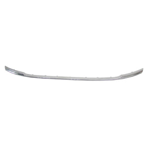 Front Bumper Molding image