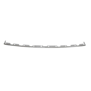 Rear Bumper Molding image