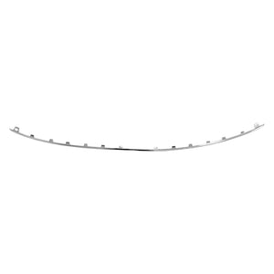 Rear Bumper Molding image