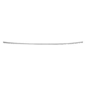 Rear Bumper Impact Strip image