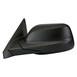 Driver Side Door Mirror image