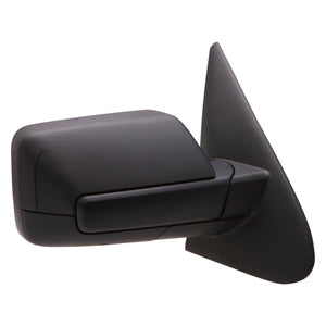 Passenger Side Door Mirror image