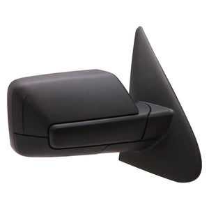 Passenger Side Door Mirror image