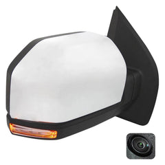 Passenger Side Door Mirror image