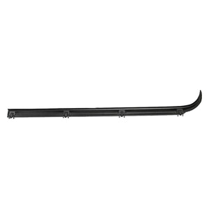 Front Passenger Side Door Molding image