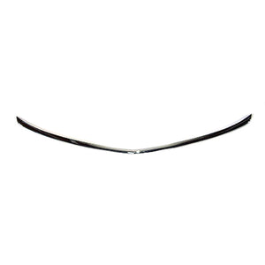 Rear Bumper Molding image