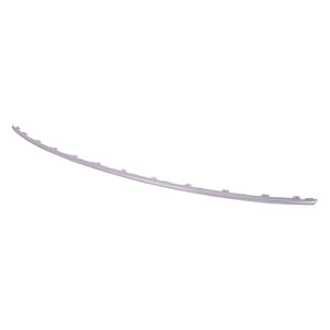 Rear Bumper Molding image
