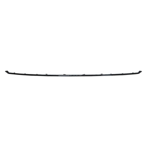 Rear Bumper Molding image