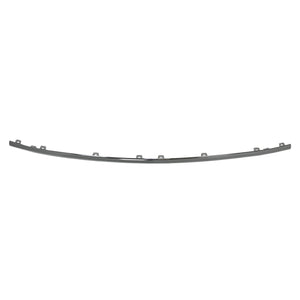 Rear Bumper Molding image