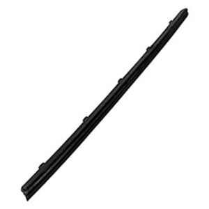 Front Passenger Side Door Molding image