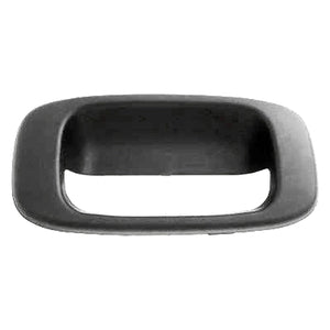 Tailgate Handle Bezel image