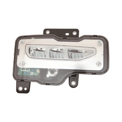 Passenger Side Fog Light Assembly image
